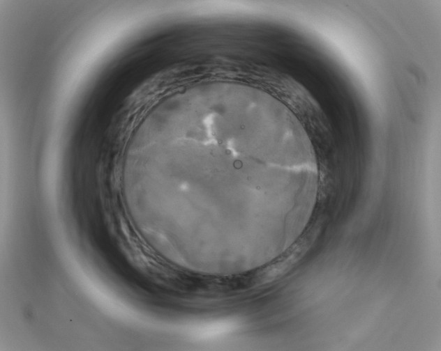 X0000110320765200906042043