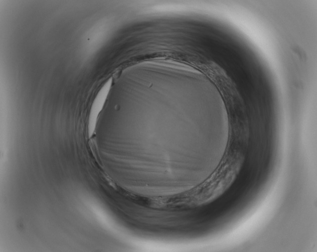 X0000110320766200906042043