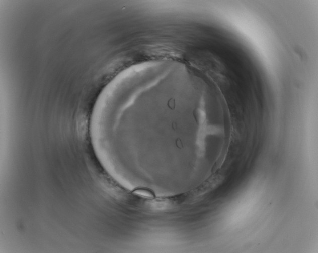 X0000110320767200906042043