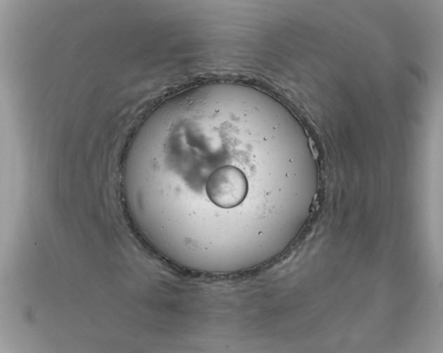 X0000110320769200906042043