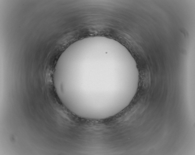 X0000110320770200906042043