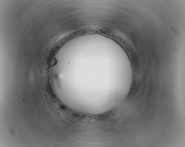 X0000110320773200906042043