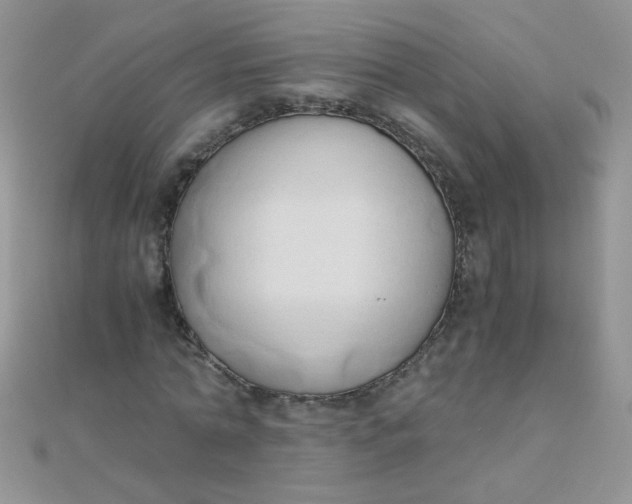 X0000110320774200906042043