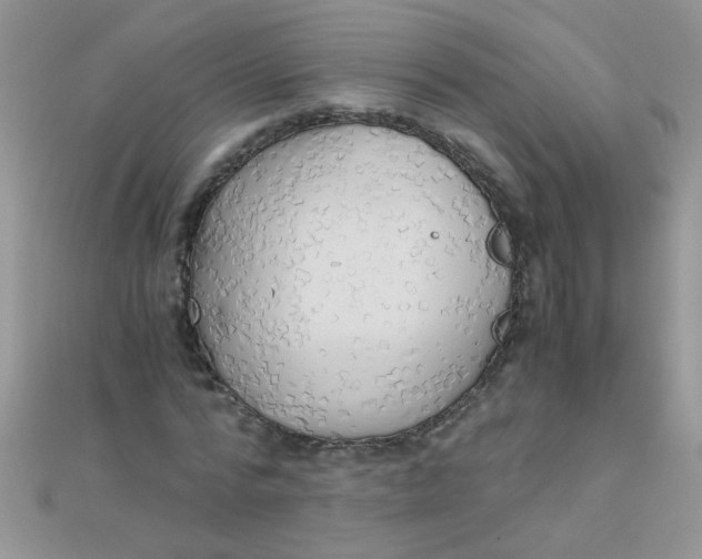 X0000110320776200906042043