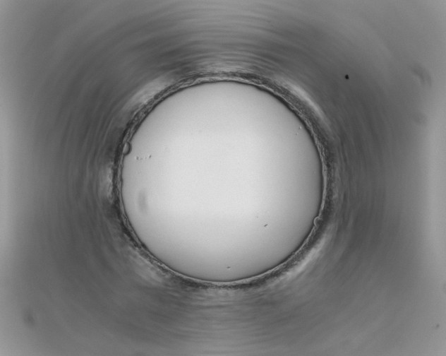 X0000110320777200906042042