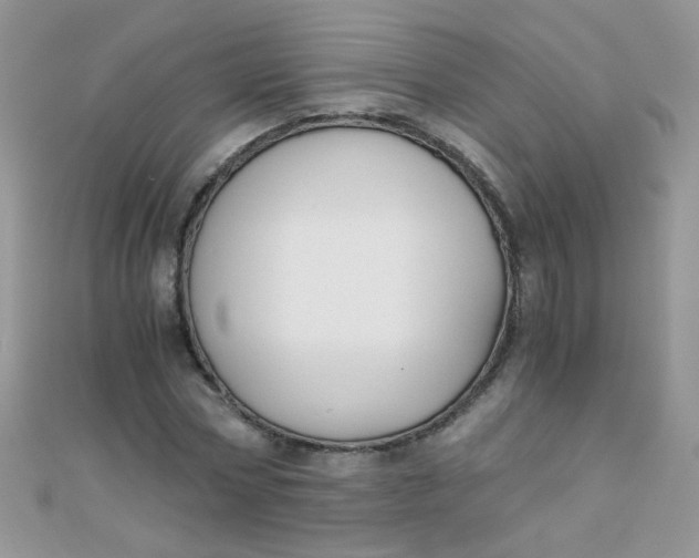 X0000110320778200906042042