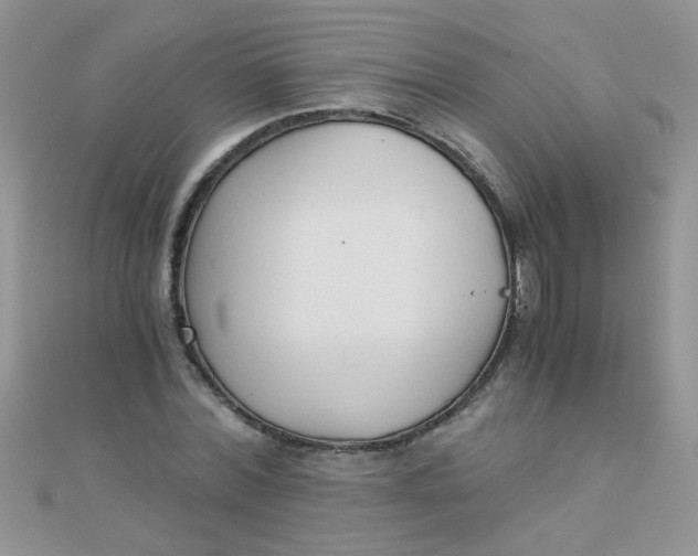 X0000110320780200906042042