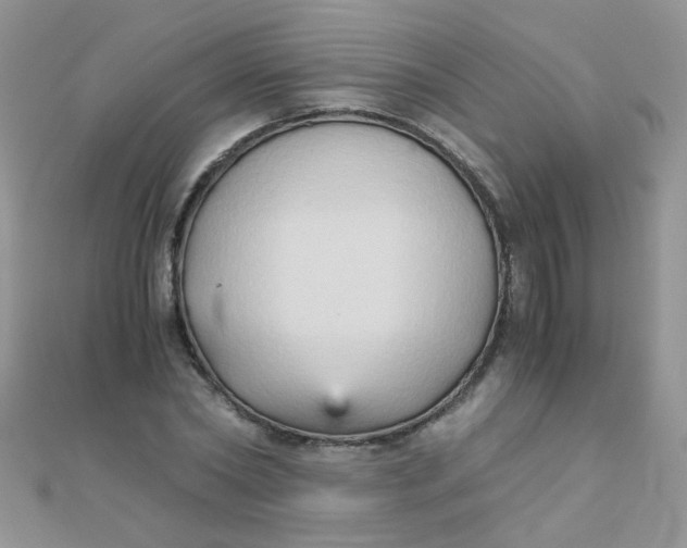 X0000110320782200906042042