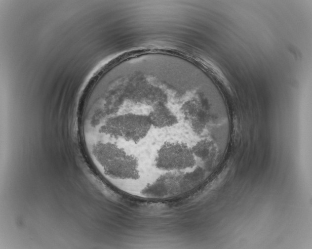 X0000110320784200906042042