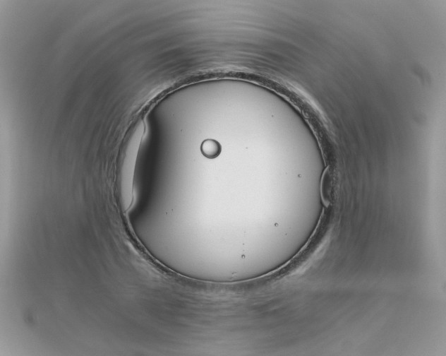 X0000110320785200906042042