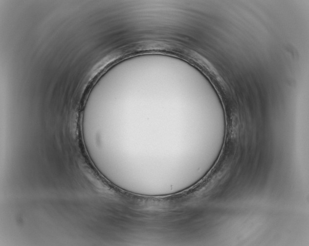 X0000110320786200906042042