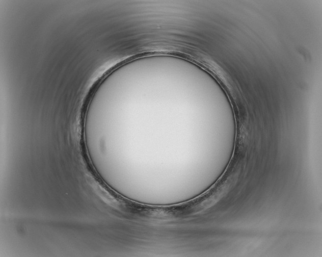 X0000110320787200906042042