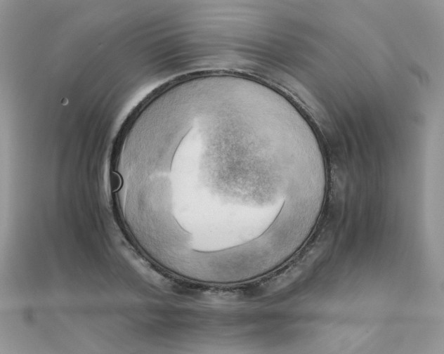 X0000110320788200906042042