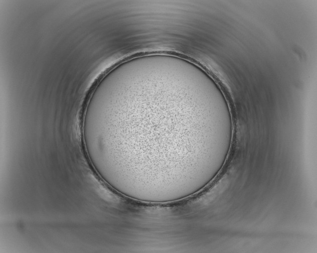 X0000110320789200906042042