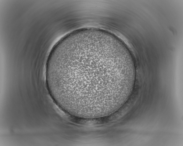 X0000110320791200906042042