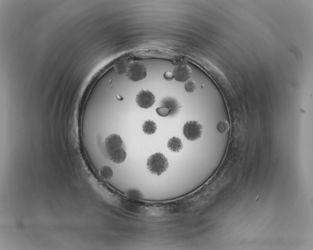 X0000110320792200906042042