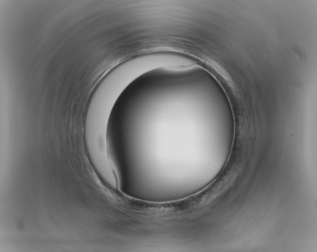 X0000110320793200906042042