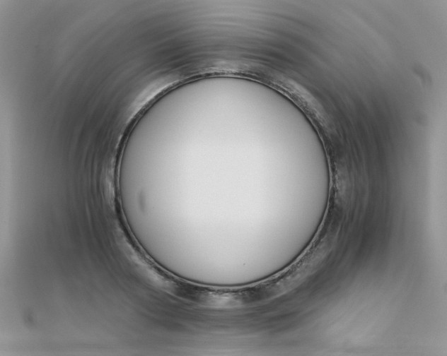 X0000110320794200906042042