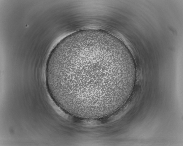 X0000110320795200906042042