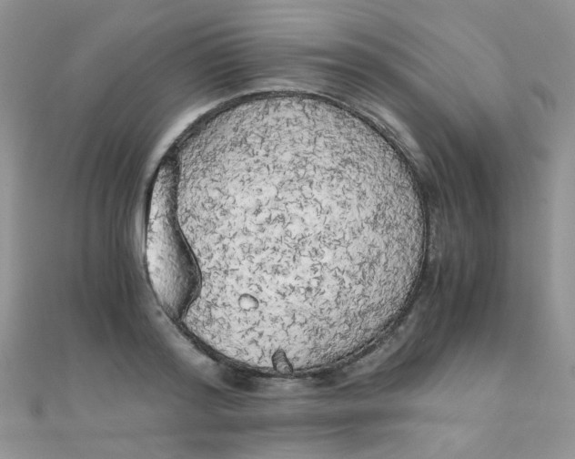 X0000110320796200906042042