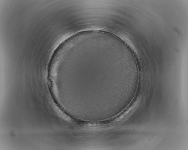 X0000110320797200906042042