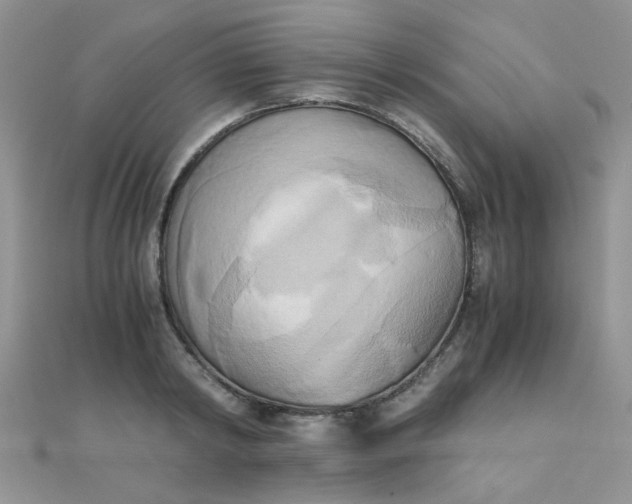 X0000110320798200906042042