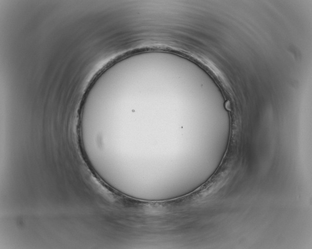 X0000110320799200906042042