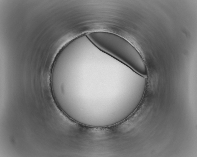 X0000110320805200906042042