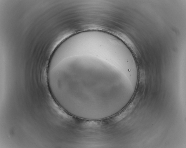 X0000110320806200906042042