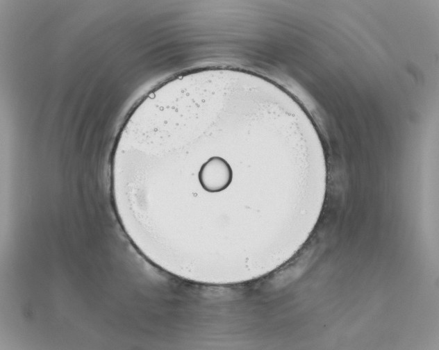 X0000110320807200906042042