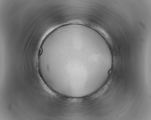 X0000110320808200906042042