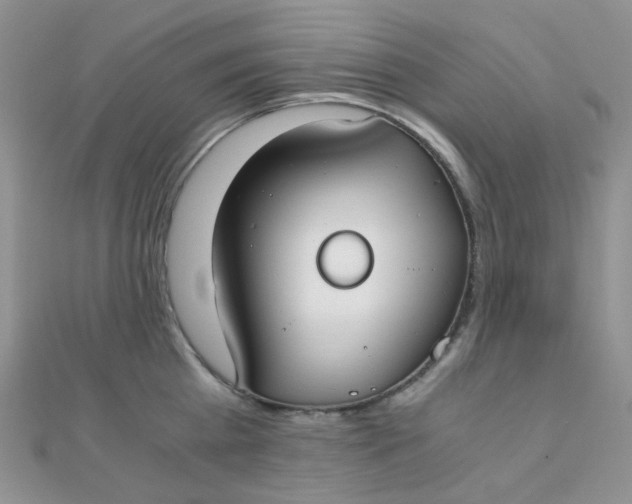 X0000110320809200906042042