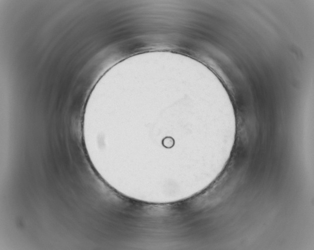 X0000110320810200906042042