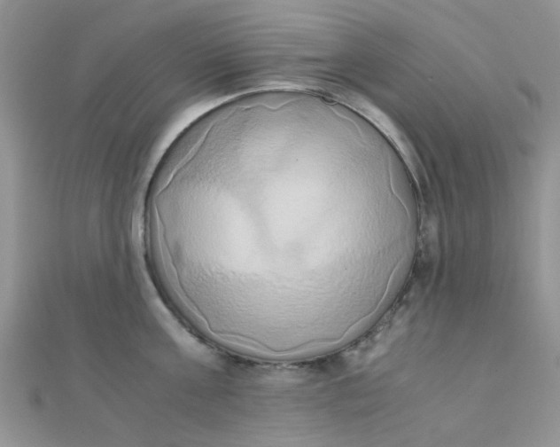 X0000110320811200906042042