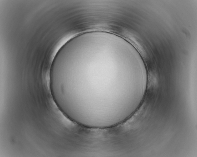 X0000110320812200906042042