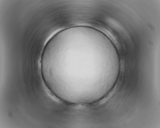 X0000110320814200906042042