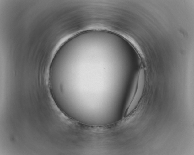 X0000110320815200906042042