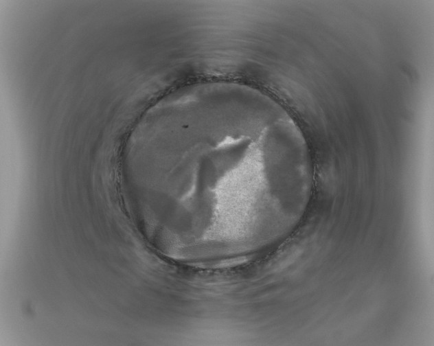 X0000110320817200906042041