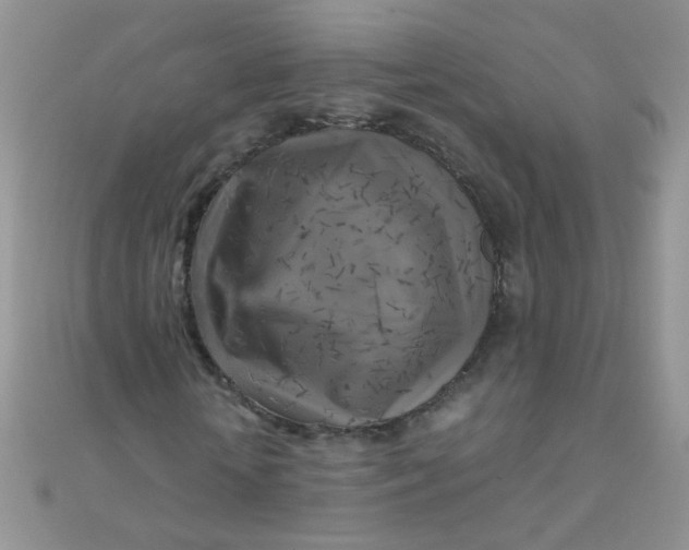 X0000110320818200906042041