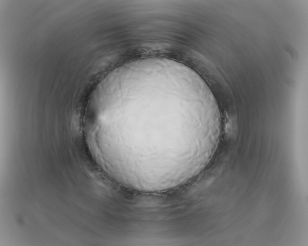 X0000110320819200906042041