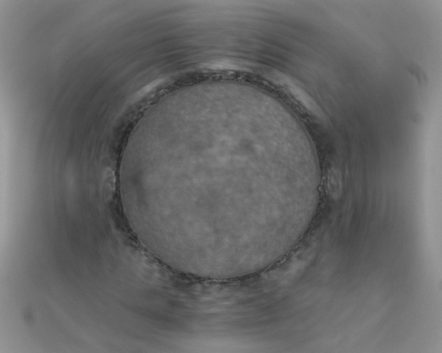 X0000110320821200906042041