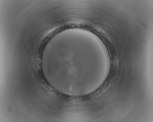 X0000110320822200906042041