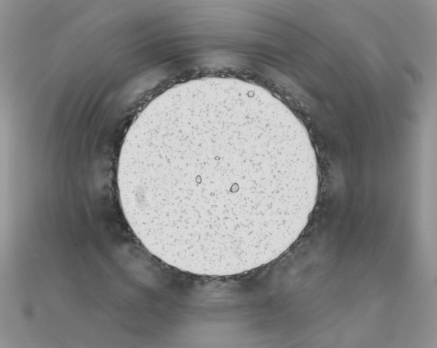 X0000110320824200906042041