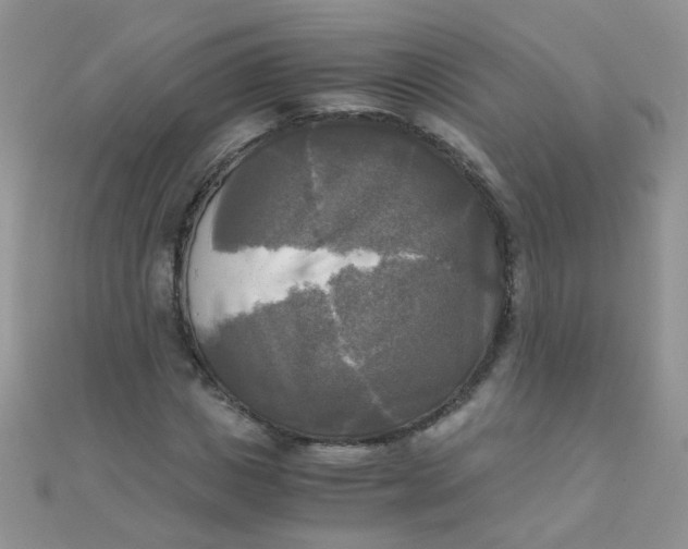 X0000110320825200906042041