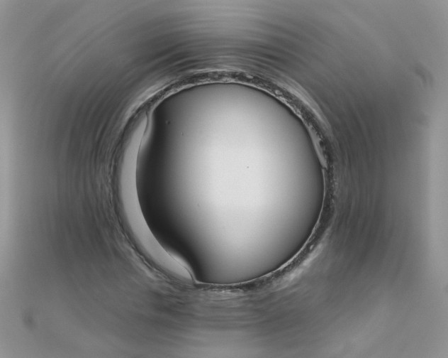 X0000110320826200906042042