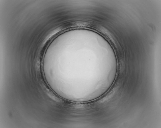 X0000110320827200906042042