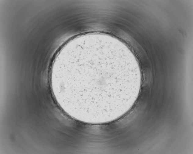 X0000110320828200906042042