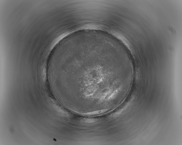 X0000110320829200906042042