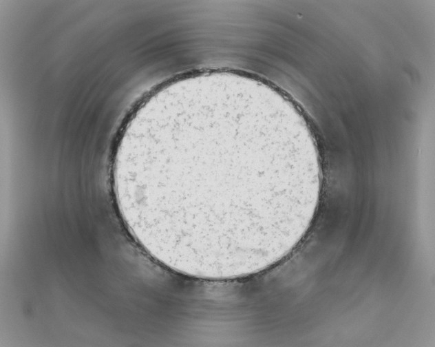 X0000110320832200906042042