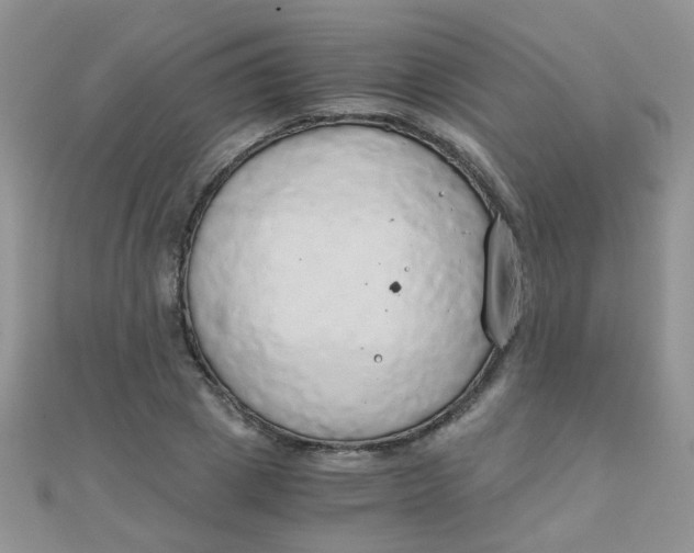 X0000110320833200906042042